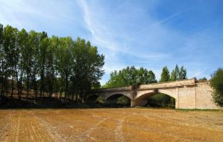 Ruta del Riaza por la Ribera del Duero - Vegetación de ribera - Torregalindo