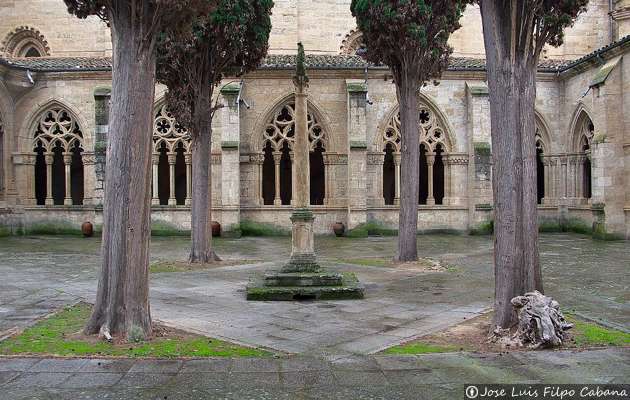 Patio de los Cipreses - Catedral de Ciudad Rodrigo