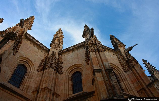 Pináculos - Catedral de Segovia