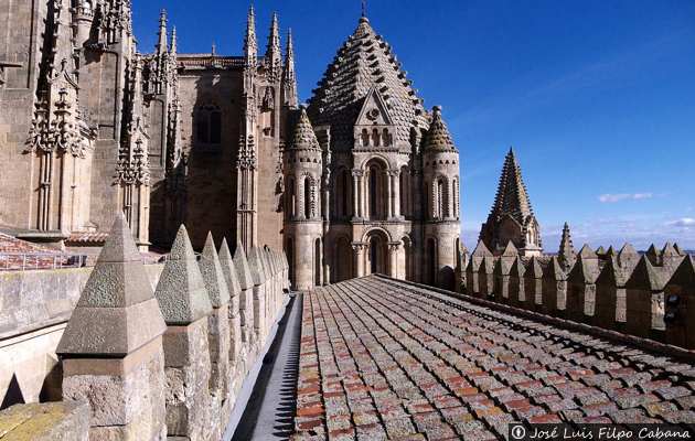 Catedral vieja de Salamanca
