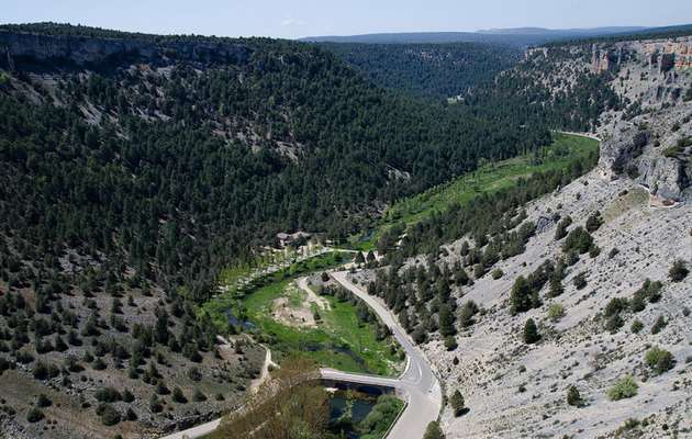 Bosques en Soria. Cañón del Río Lobos