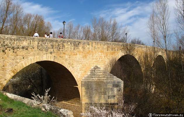 Puente sobre el Duero - Vadocondes