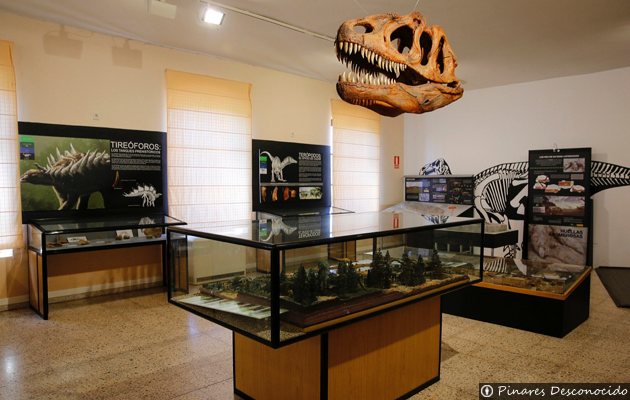 Museo de Dinosaurios en Salas de los Infantes