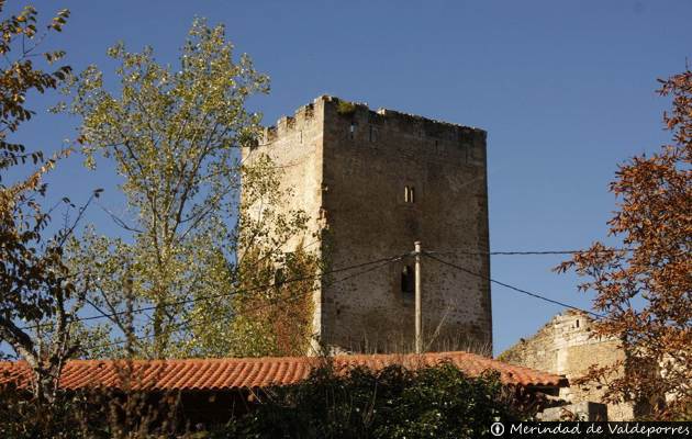 Castillo de los Porres - Cidad de Valdeporres