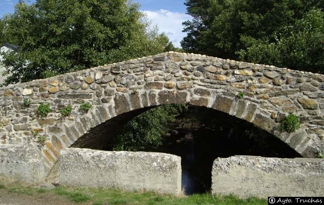 Puente medieval - Truchas
