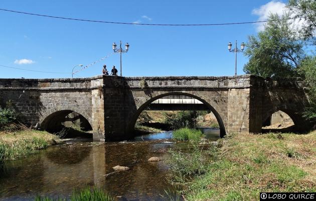 Puente Almuhey