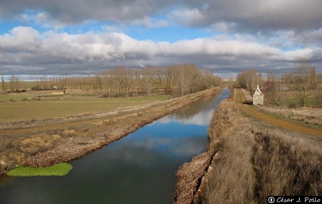 Canal de Castilla - Requena de Campos