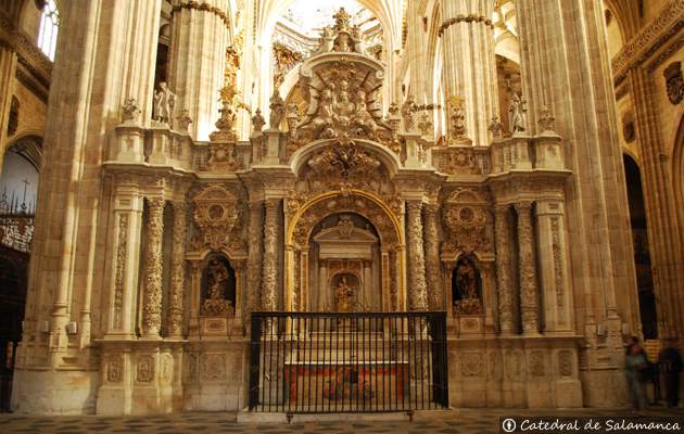 Trascoro - Catedral nueva de Salamanca