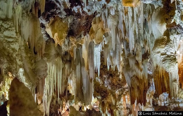 Cuevas del Águila