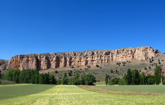 Hoces del Río Riaza y el Sabinar de Hornuez - Segovia