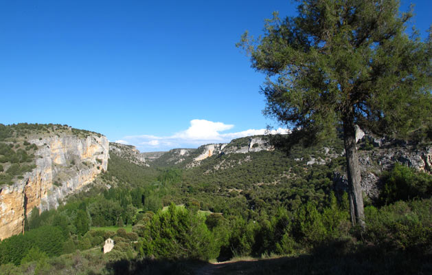 Qué ver en Segovia - Hoces del Riaza y el Sabinar de Hornuez