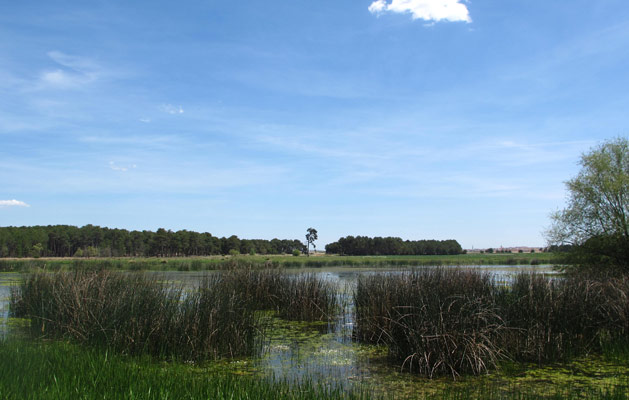 Laguna de Sotillos Bajeros - Cantalejo