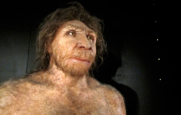 Miguelón - Figura Museo de la Evolución Humana