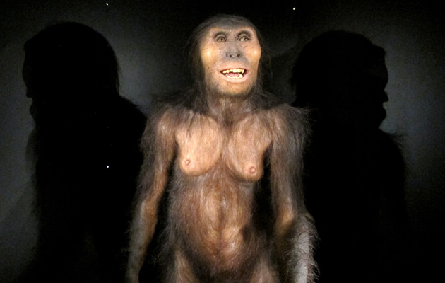 Lucy - Reproducción Museo de la Evolución Humana