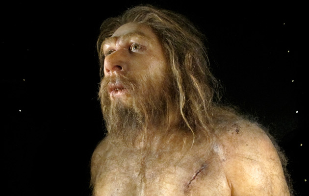 Reconstrucciones Museo de la Evolución Humana - Burgos