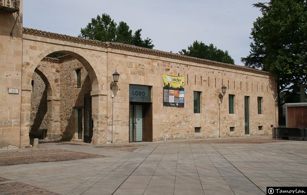 Museo Baltasar Lobo - Casa de los Gigantes