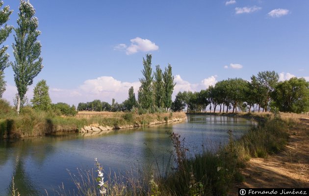Canal de Castilla - Becerril de Campos