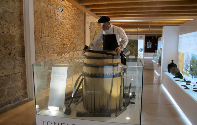 Qué visitar en Valladolid - Museo de elaboración del Vino - Castillo de Peñafiel