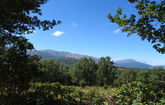 Sierra de Ayllón - Riaza - Segovia