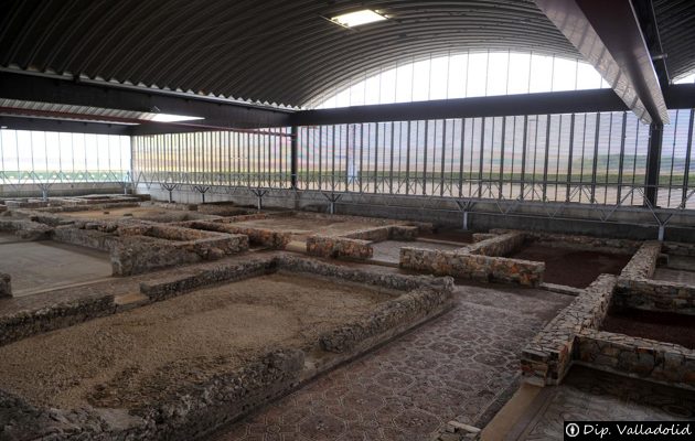 Yacimiento arqueológico - Almenara de Adaja-Puras