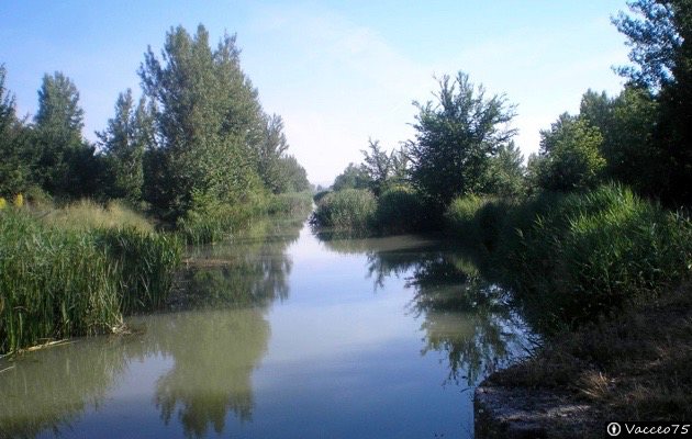 Canal de Castilla - Valoria la Buena