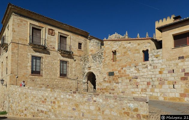 Puerta de Olivares - Zamora