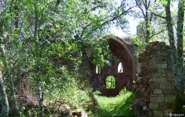 Ruinas del convento de Alveinte - Monasterio de la Sierra
