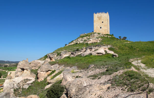 Castillos en la Ribera del Duero Soriana