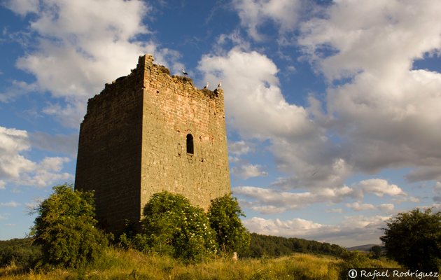 Torre medieval - Villanueva de la Torre
