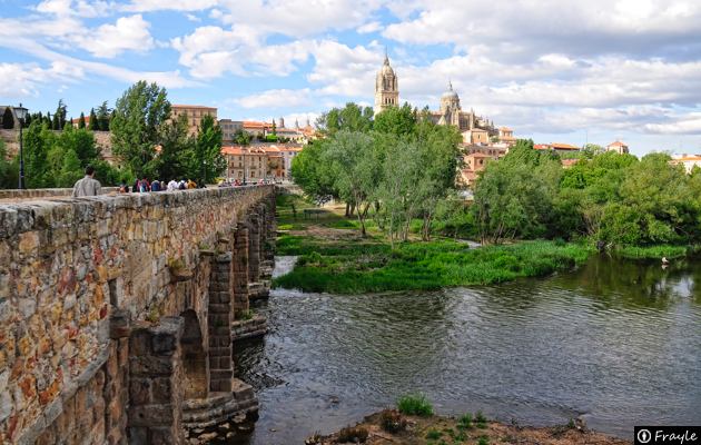 Puente romano - Salamanca
