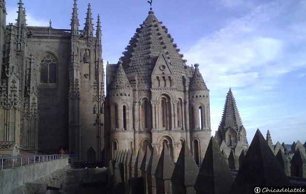Catedral vieja - Salamanca.