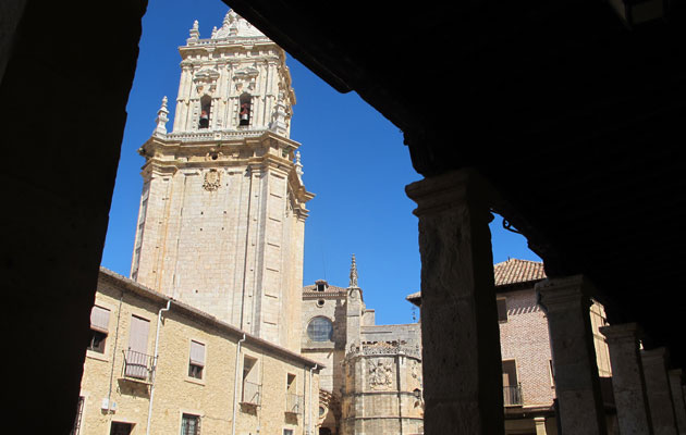Viajar al Burgo de Osma - Catedral de El Burgo de Osma