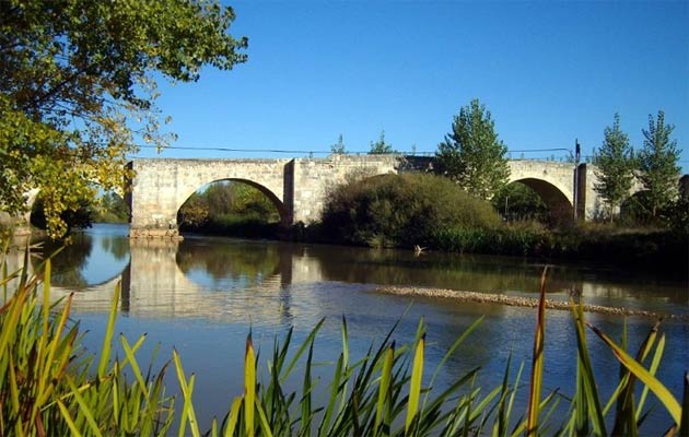 Puente medieval Ribera del Duero - Arquitectura Langa de Duero