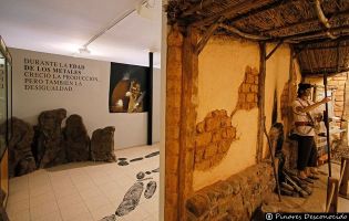 Museo de Dinosaurios - Salas de los Infantes