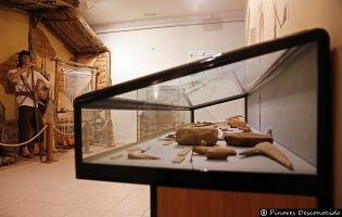 Museo de Dinosaurios - Salas de los Infantes