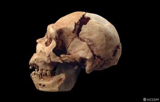 Sima de los Huesos - Yacimientos de Atapuerca