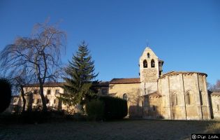 Monasterio - Carrizo de la Ribera