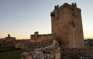 Castillo - San Felices de los Gallegos