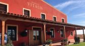 Visita Bodegas Vitalis - Villamañán