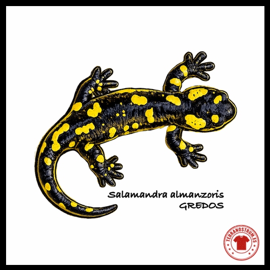 Camiseta Salamandra Almanzoris - Gredos